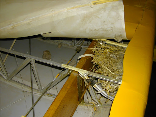 DSCN8263.JPG