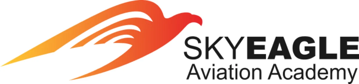 skyeagleaviation.ru