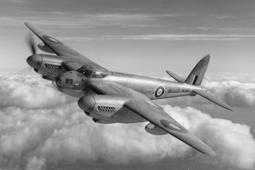 mosquito.jpg