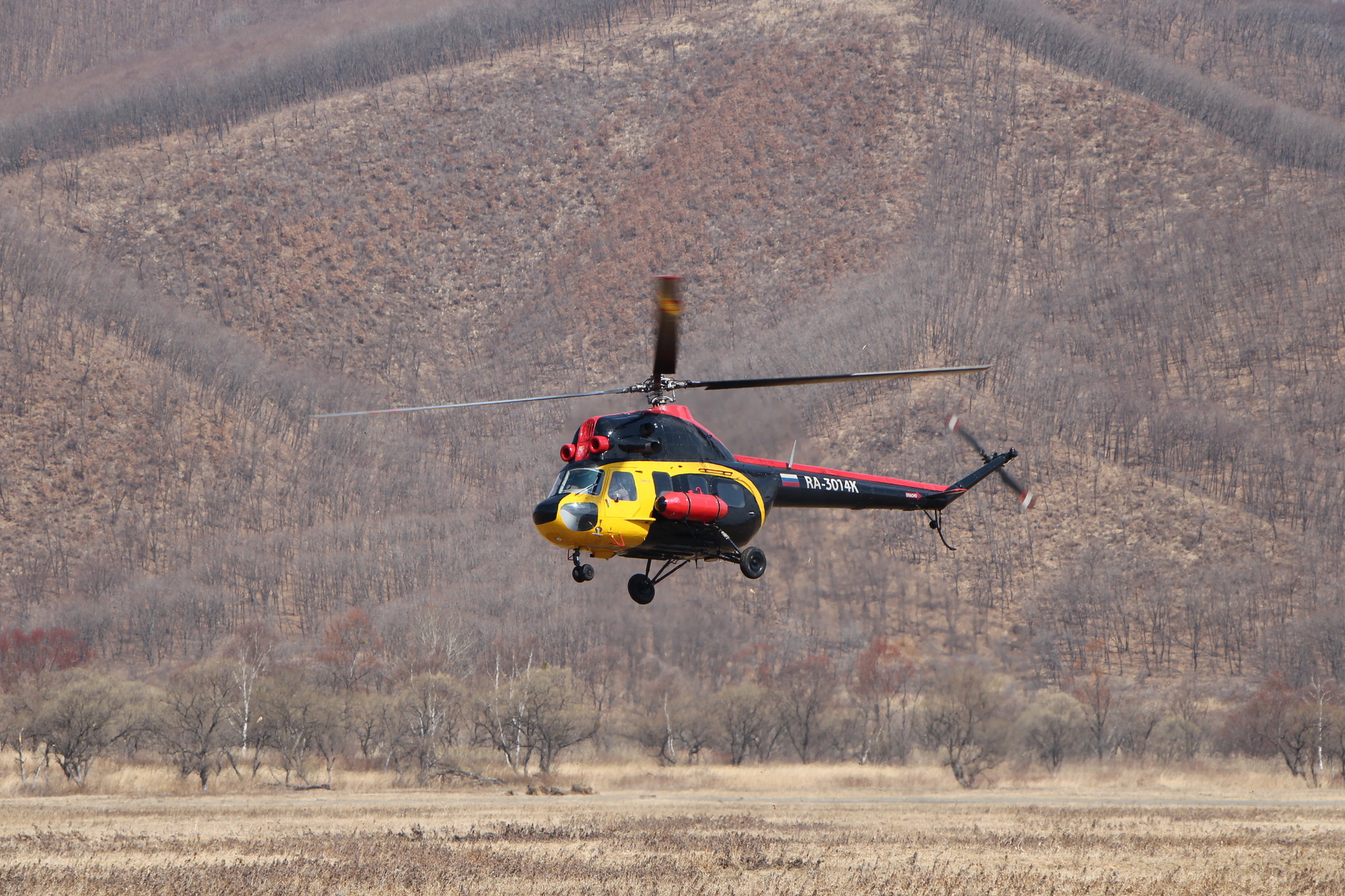 h-2286.jpg