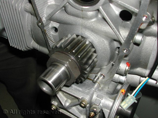DSCN5166.sized.jpg