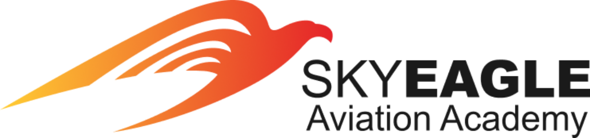 skyeagleaviation.ru