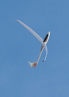 tn_omaka-2011_135.jpg