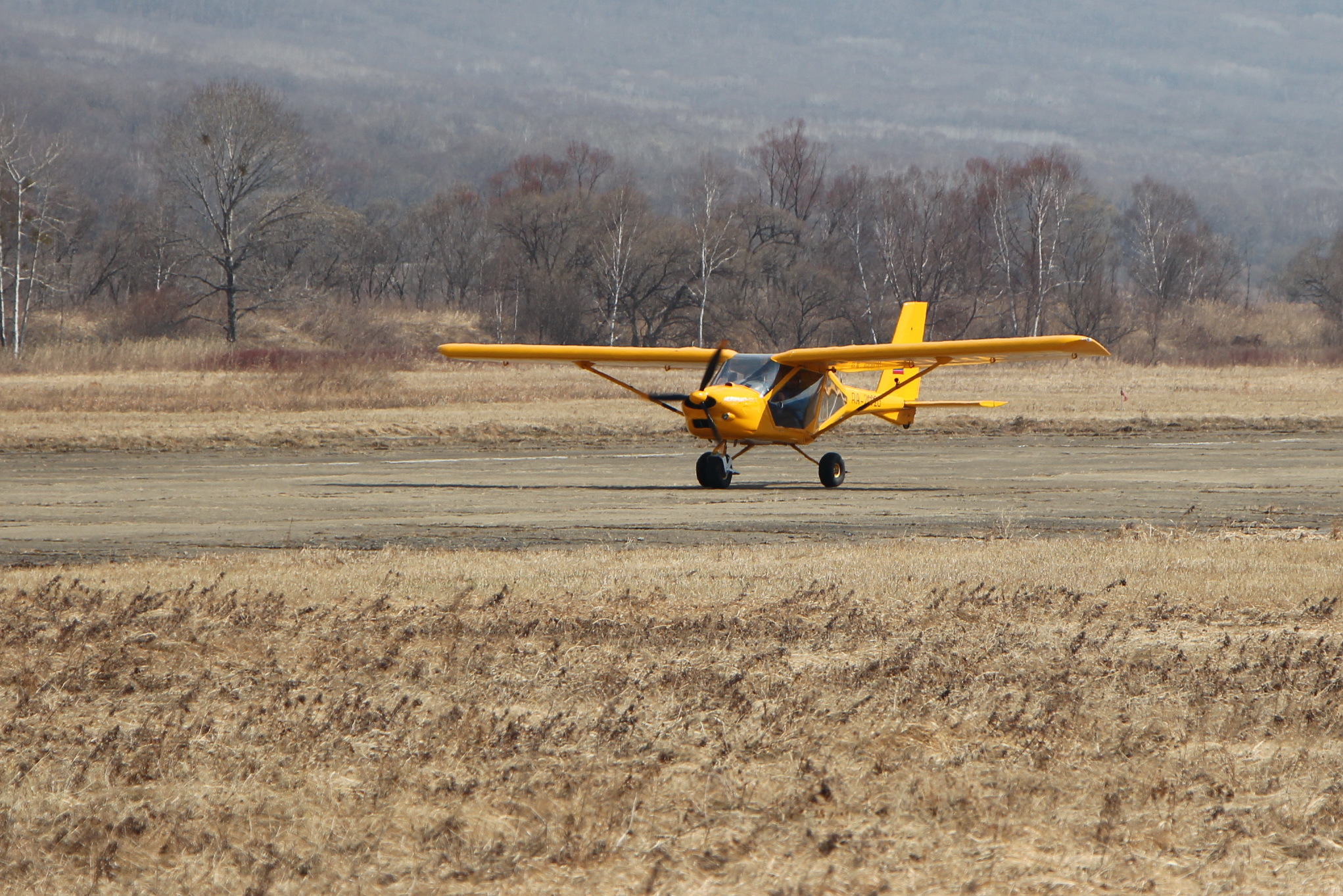 h-2389.jpg