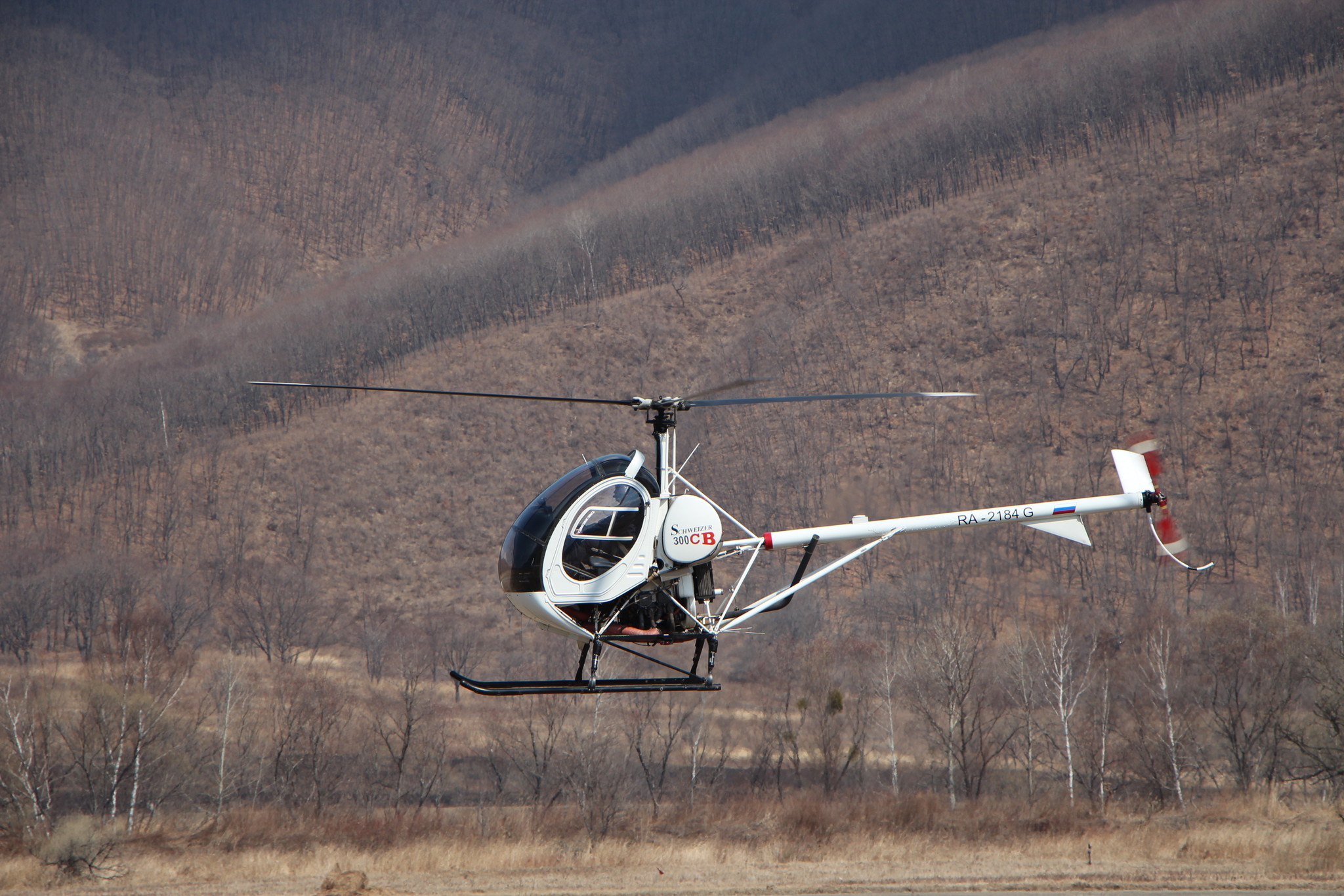 h-2410.jpg