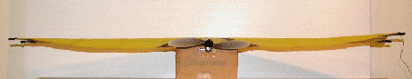 ani-warp1.gif