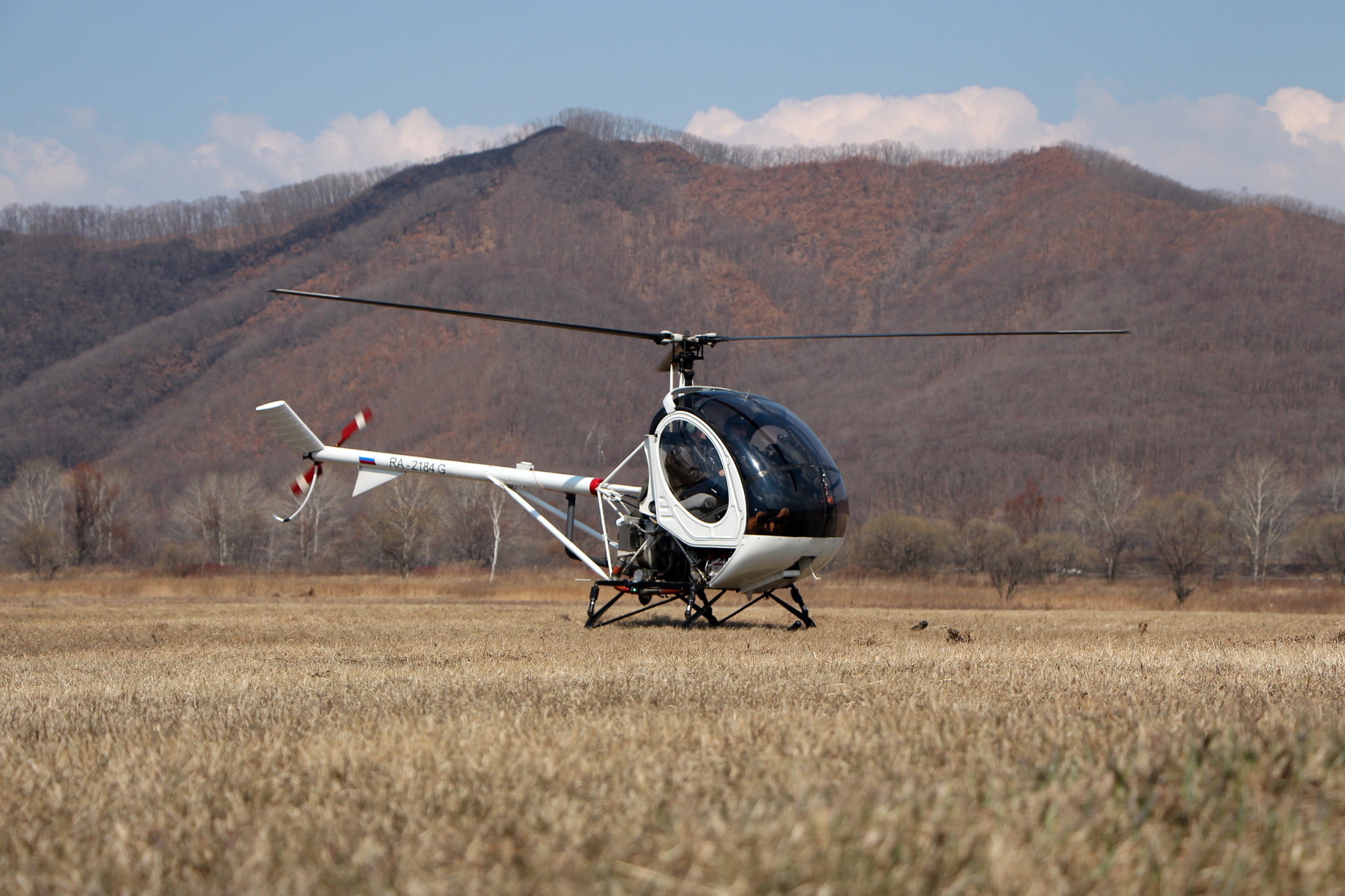h-2397.jpg