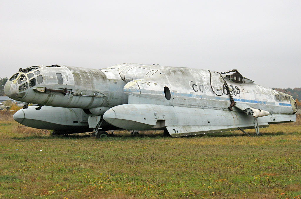 z001.jpg