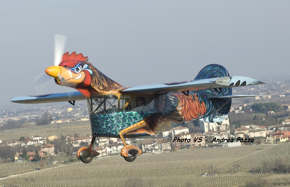 gallo1s.jpg